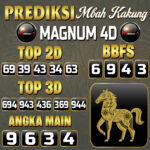Magnum 4D