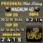 Magnum 4D