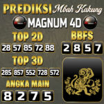 Magnum 4D