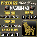 Magnum 4D
