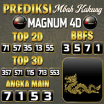 Magnum 4D